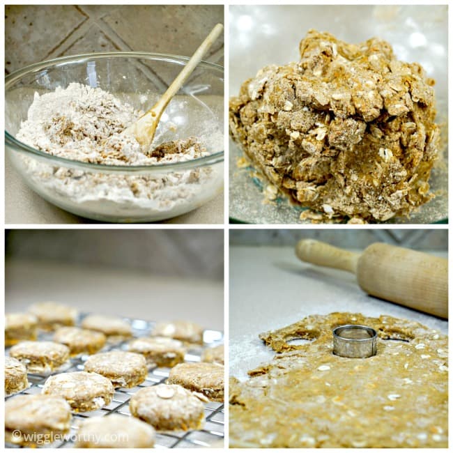 Apple Carrot Dog Treats