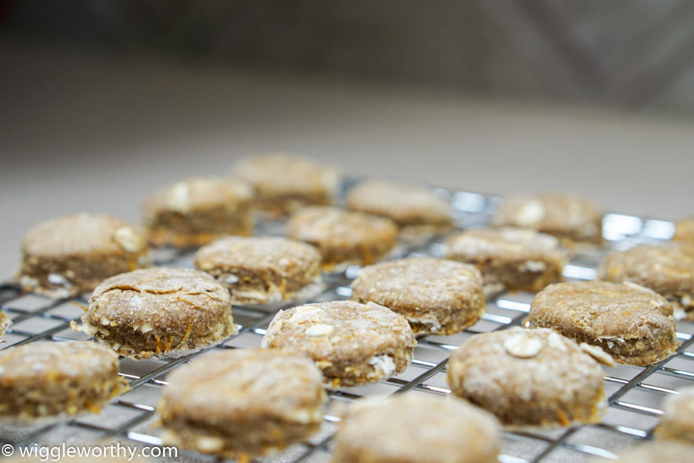 carrot dog biscuit recipe