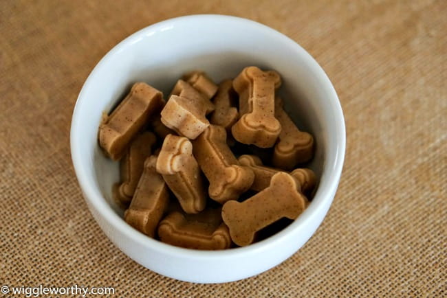 The Best Dog Treat Molds - Dogtime