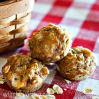 Carrot and zucchini pupcakes