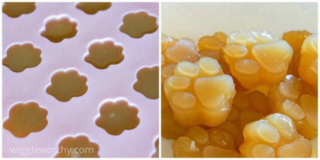 Bone broth gummies for dogs outlet