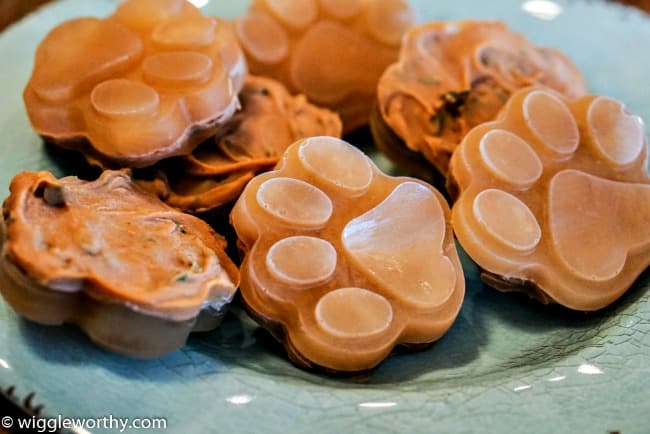 homemade dog treats with chicken broth