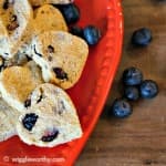 Homemade banana, pumpkin and blueberry dog treats on red plate