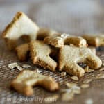 peanut butter applesauce and oats dog treats