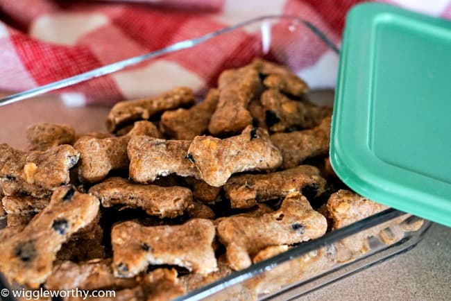 how do you keep homemade dog treats fresh