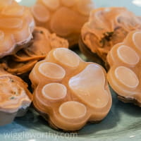 Frozen bone broth and peanut butter dog treats