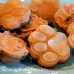 Peanut butter and bone broth frozen dog treats