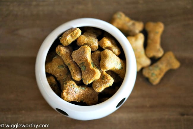 Homemade Dog Treat Toy Filling Recipe - {Not Quite} Susie Homemaker