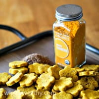 Pumpkin & Turmeric dog treats