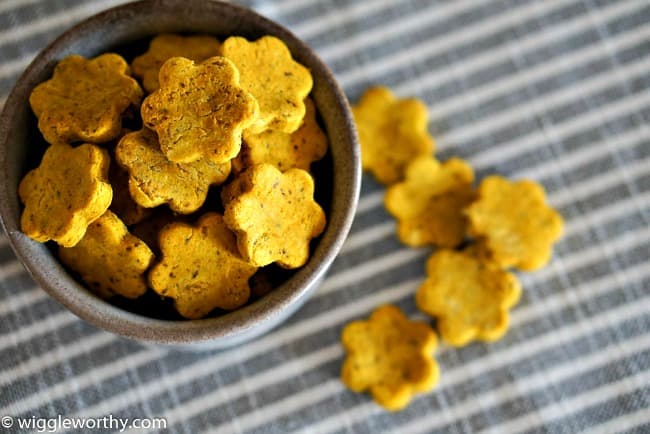 Homemade Pumpkin Turmeric Dog Treats