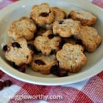 Almond cranberry dog treats on a plate