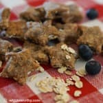 Blueberry banana homemade dog treats on checkered cloth
