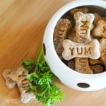 Salmon and parsley dog treats in bowl with sprig of parsley as garnish