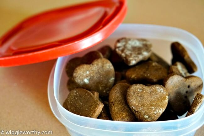 Dog treats stored in airtight, plastic container Dog treats stored in airtight, plastic container